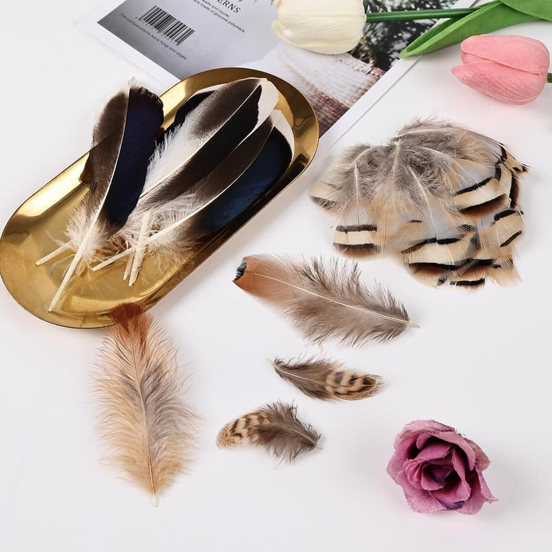 Daieeparty 270pcs Small Pheasant Feathers 9 Style Mixed Feathers Natural Feathers for Crafting Wedding Dream Catcher Hats Decoration - Image 4